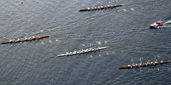 Ruderer. Der Sport beansprucht den ganzen Körper. Foto: André Zand-Vakili Diverse1