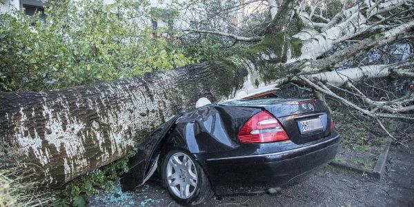 Der zermalmte Mercedes am Karl-Arnold-Ring. Sturmtief Herwart verursacht schwere Schäden im Bezirk Harburg