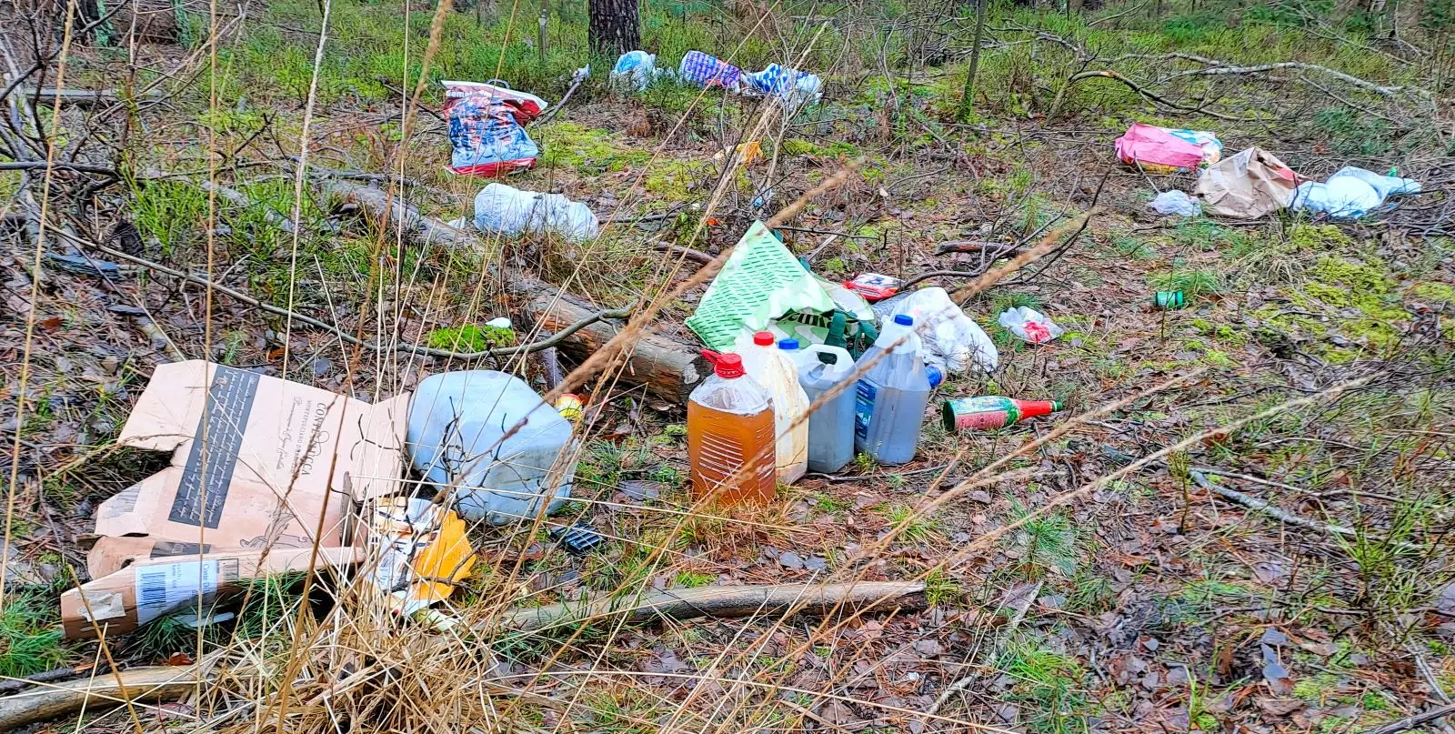 Gerd Rabe, Leiter der Revierförsterei Lohbergen im Forstamt Sellhorn, hat in seinem Revier zum wiederholten Male Müllablagerungen entdeckt. 