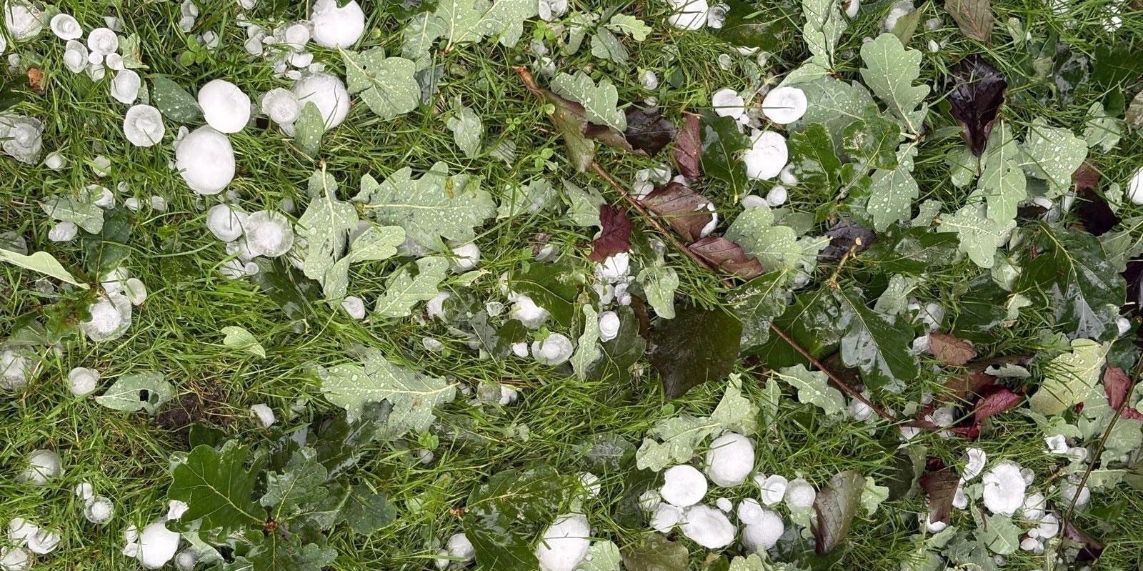 Bis fünfzentimetergroße Hagelkörner sind bei dem gestrigen Unwetter auch in Heidenau gefallen. Foto: to 