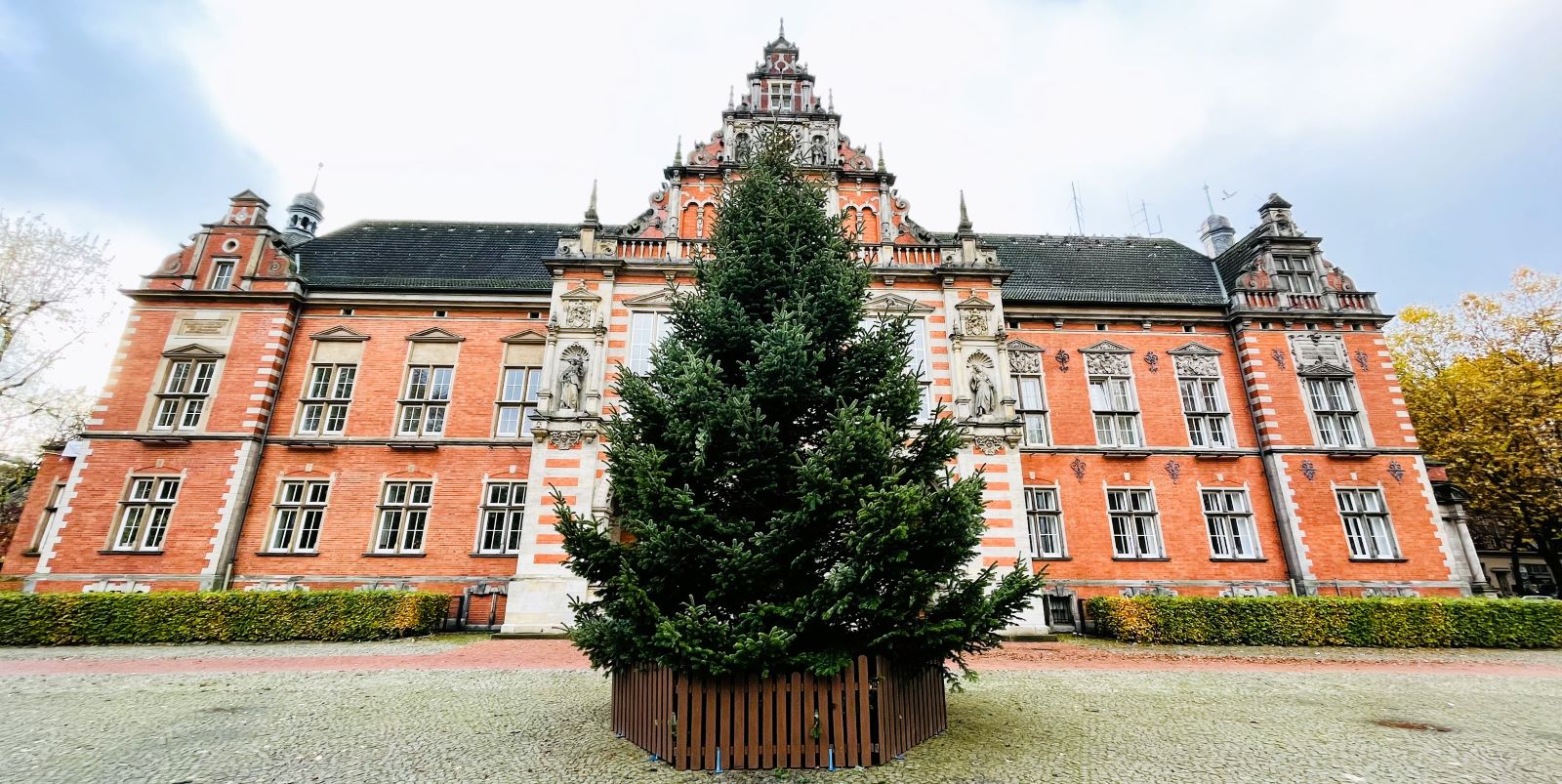 Harburgs Weihnachtstanne wurde Sonnabend vor dem Rathaus aufgestellt. Foto: Christian Bittcher