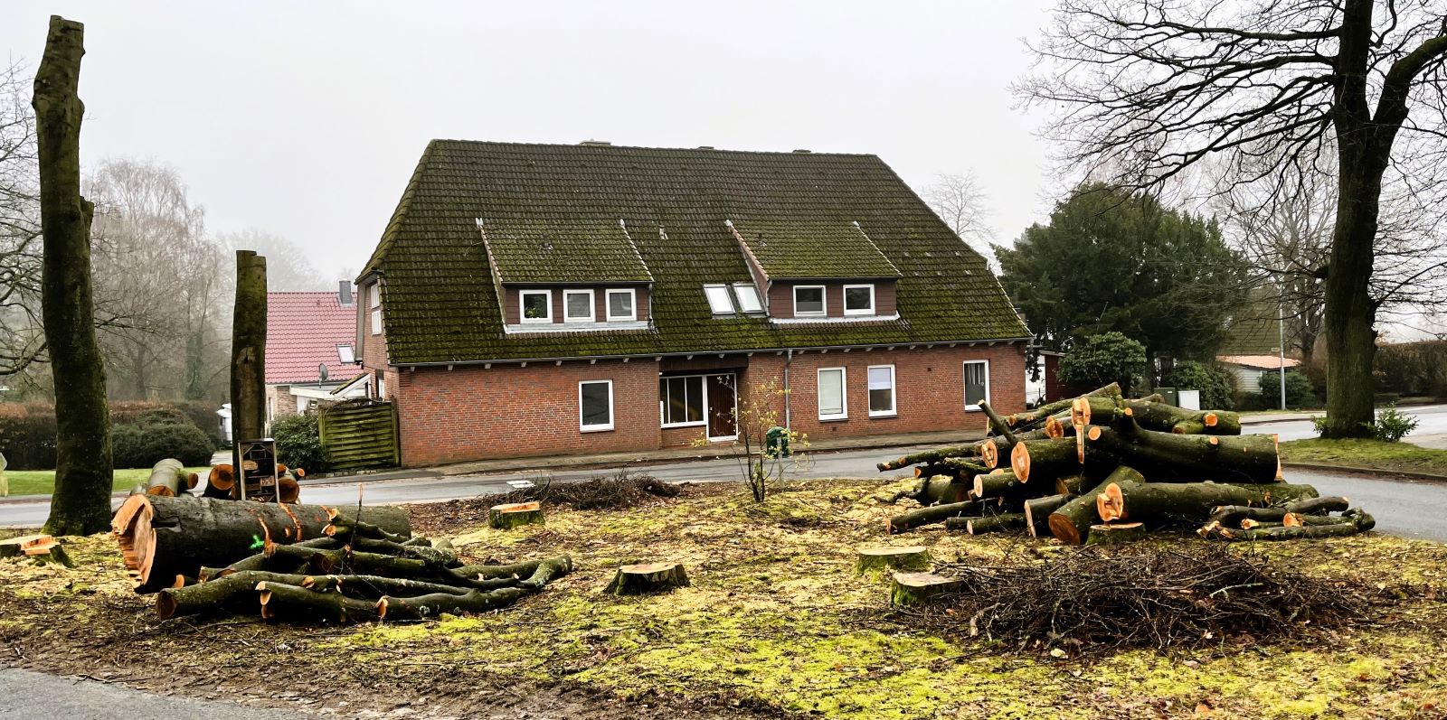 Trauriger Anblick: Die Buchen im alten Sottorfer Dorfkern wurden gefällt. Foto: Christian Bittcher