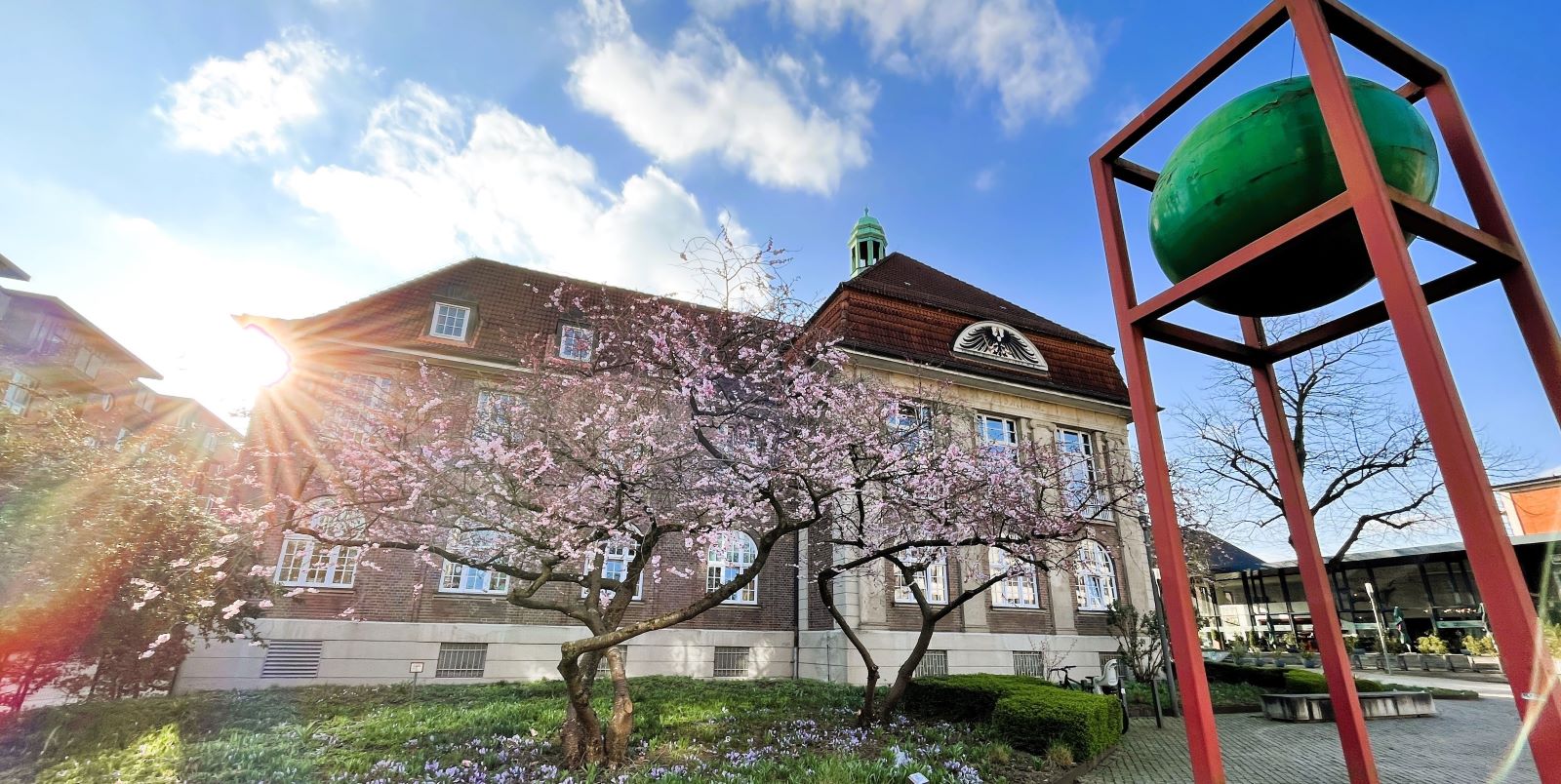 Vor dem ehemligen Standesamt hat die Blüte der Zierkirsche begonnen. Foto: Christian Bittcher Vor dem ehemligen Standesamt hat die Blüte der Zierkirsche begonnen