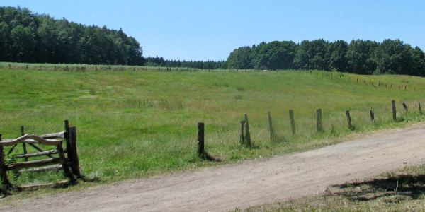 Initiative feiert 25 Jahre Erhalt des Appelbüttler Tals