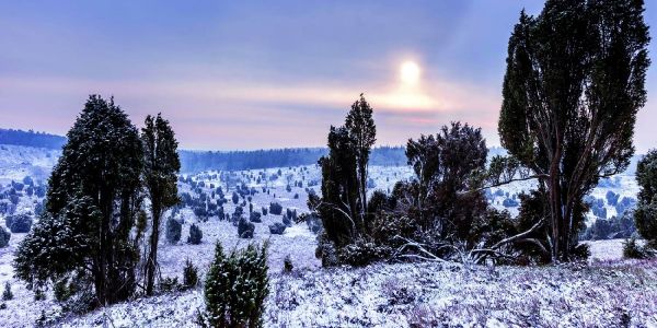 Die Landschaft macht den Heidschnuckenweg zu einem der attraktivsten Wanderwege in Deutschland. Foto: pr "Heideschleifen" machen Heidschnuckenweg noch attraktiver