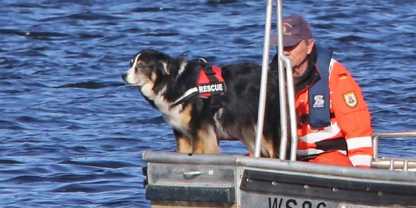 Ein Rettungshund im Einsatz. Ein Australian Sheperd eignet sich auch für diese Aufgabe. Foto: André Zand-Vakili Der Australian Sheperd will beschäftigt werden