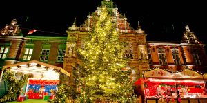 SPD macht Rückzieher bei Weihnachtsbaumbeleuchtung