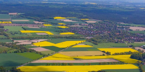 Landwirtschaftlich genutzte Flächen im Landkreis Harburg. Foto: André Zand-Vakili Scheckbuchökologie: Schönecke kritisiert Hamburgs Kauf von Ausgleichfllächen