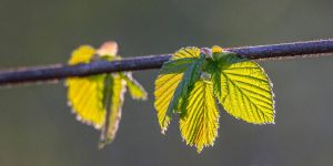 Verspielt und farbenfroh: Wohn-Dekotrends für den Frühling