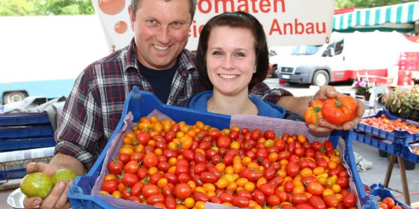 Tomaten auf dem Wochenmarkt