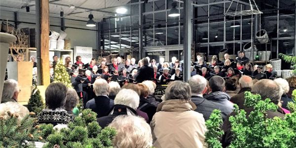 Klassik live in der Adventszeit: Weihnachtskonzert im Garten von Ehren 