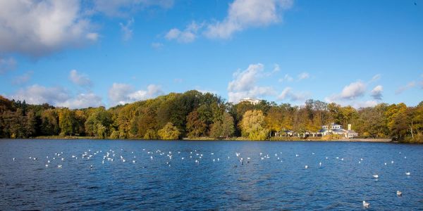 Der Außenmühlenteich im Harburger Stadtpark ist einer der idyllischen Ort Harburgs. Foto: André Zand-Vakili Aussenmuehle