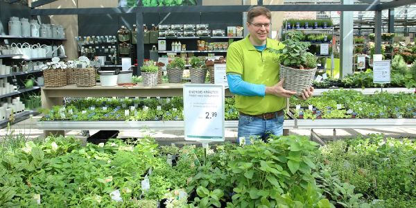 „Beet-Geschichten von harburg-aktuell“ Folge 2: „Hochbeete und Zubehör“