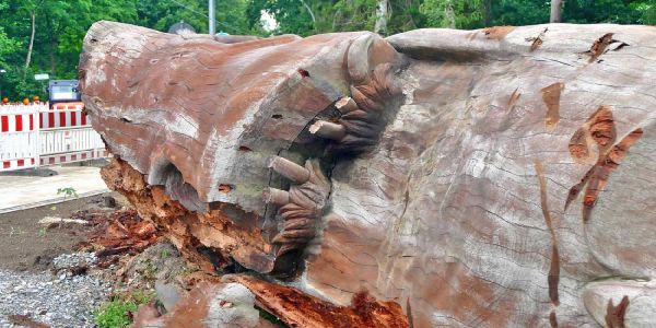 Die Krallen der am Boden liegenden Skulptur sind abgesägt. Foto: Gisbert Vokrap Souvenirjäger: Der größten Eule der Welt wurden die Krallen gestutzt