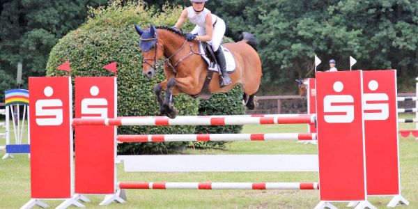Drei Tage Reitsport: Großes Sommerturnier im Harburger Reitverein