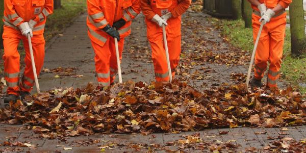 Foto: André Zand-Vakili Herbstlaub: Wer muss Bürgersteig freihalten?