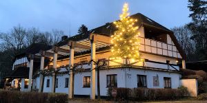 HoHoHo. Wir zeigen euch Harburgs Weihnachtsbäume