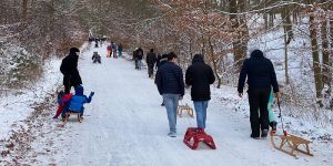 Eiszeit sorgt in eisiger Zeit für besonderen Rodelspaß in Harburg