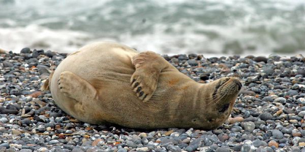 Foto: André Zand-Vakili 6 Tipps um mit dem Alltagsstress umzugehen