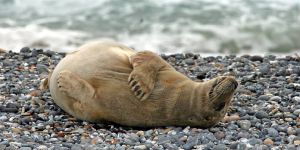 6 Tipps um mit dem Alltagsstress umzugehen
