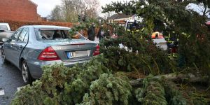 Marmstorf: Windböe lässt Tanne auf Mercedes stürzen