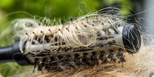 Haare färben mit Haarfärbemittel – rein pflanzlich oder doch chemisch?