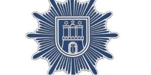 Peterwagen demoliert: Verfolgungsjagd mit der Polizei endet in Psychiatrie