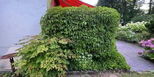Mehr Privatsphäre für den Garten dank Sichtschutz