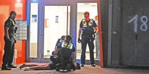 Schüsse aus Schreckschusswaffe lösen Großeinsatz der Polizei in Wilhelmsburg aus - Polizeihund beißt Partygast
