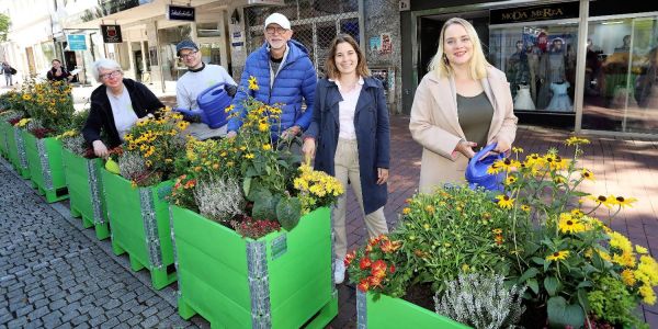 Herbstblühen in der Fußgängerzone: Acht neue Hochbeete aufgestellt