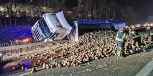 Unfall im Maschener Kreuz: Rüben ergossen sich über die Autobahn