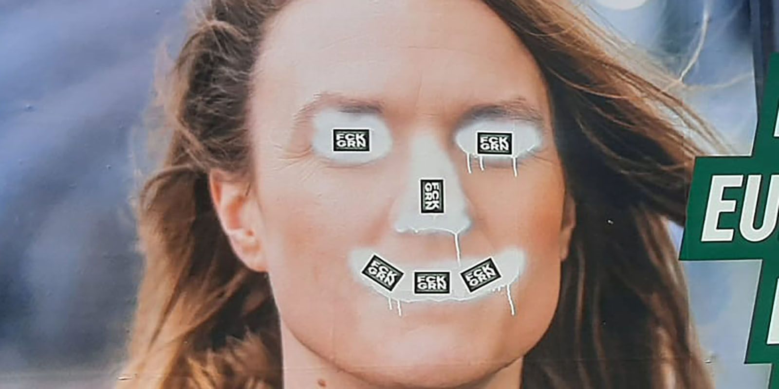 Grüne sauer: Im Landkreis Harburg werden gezielt ihre Wahlplakate demoliert