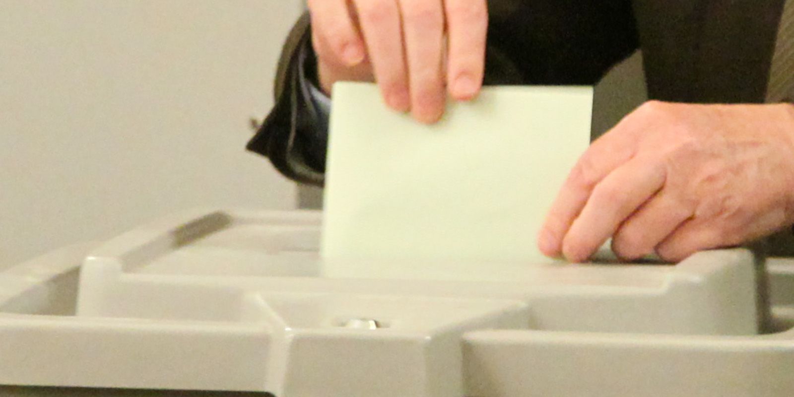 Im Landkreis Harburg haben sich die Grünen einfach mal halbiert