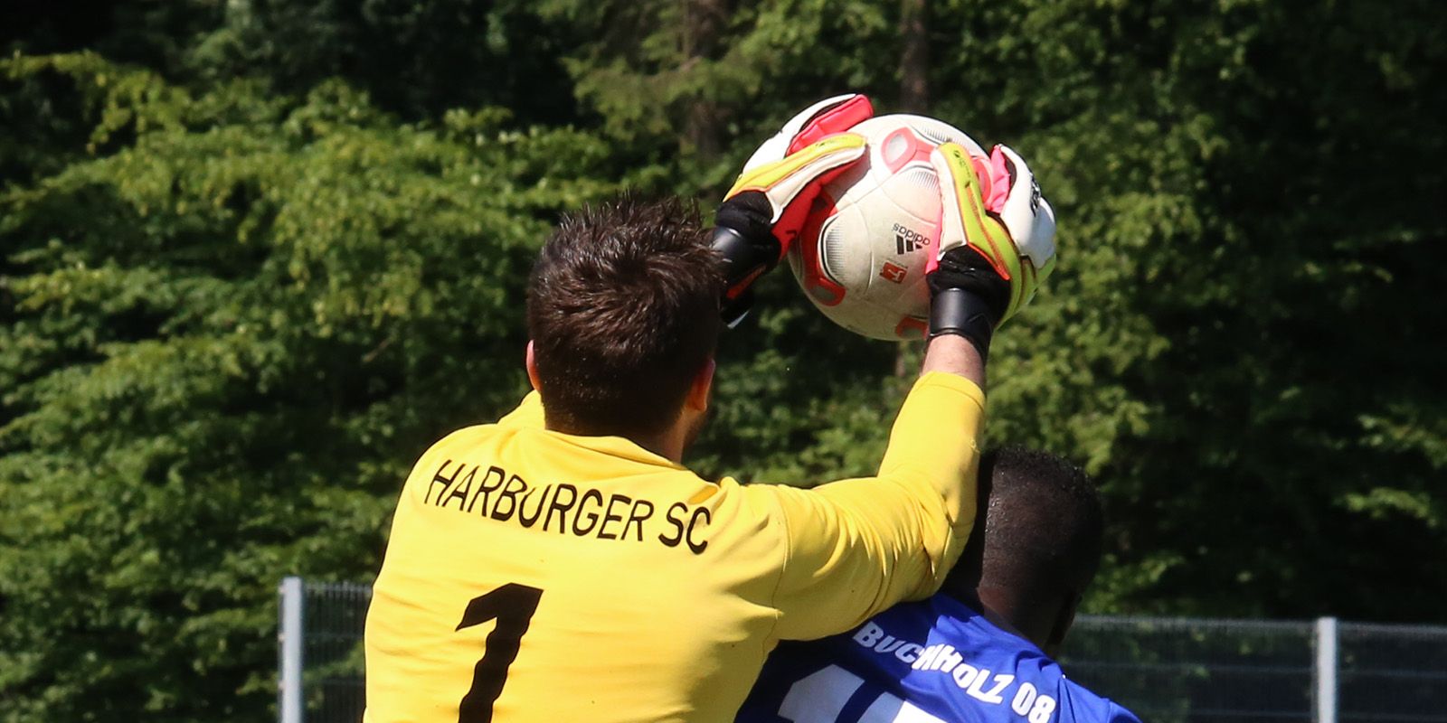 Harburger SC – Ein Traditionsverein im Wandel