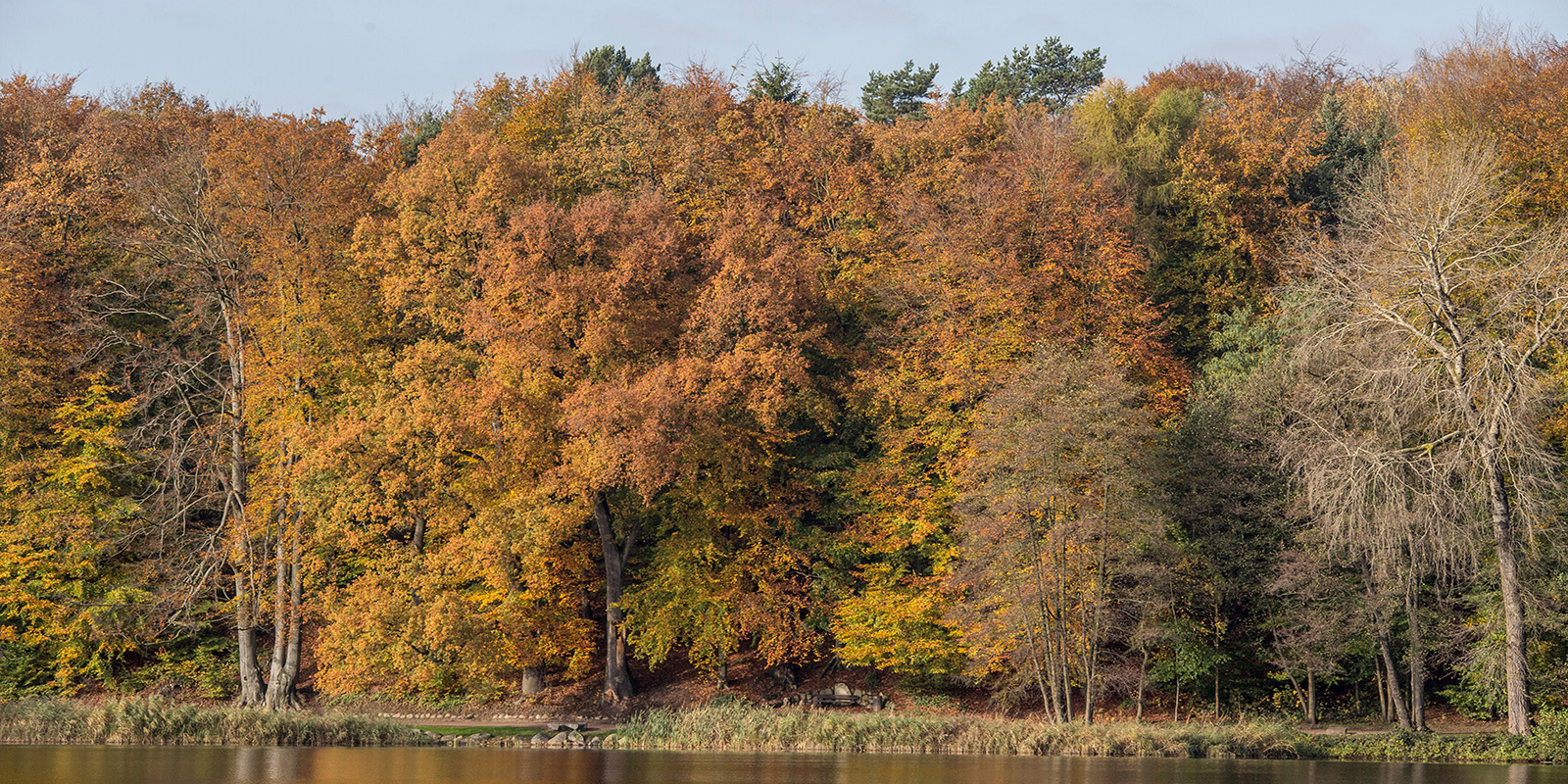 Die kalte Jahreszeit: So bleibt die übliche Herbst-Tristesse vor der Tür