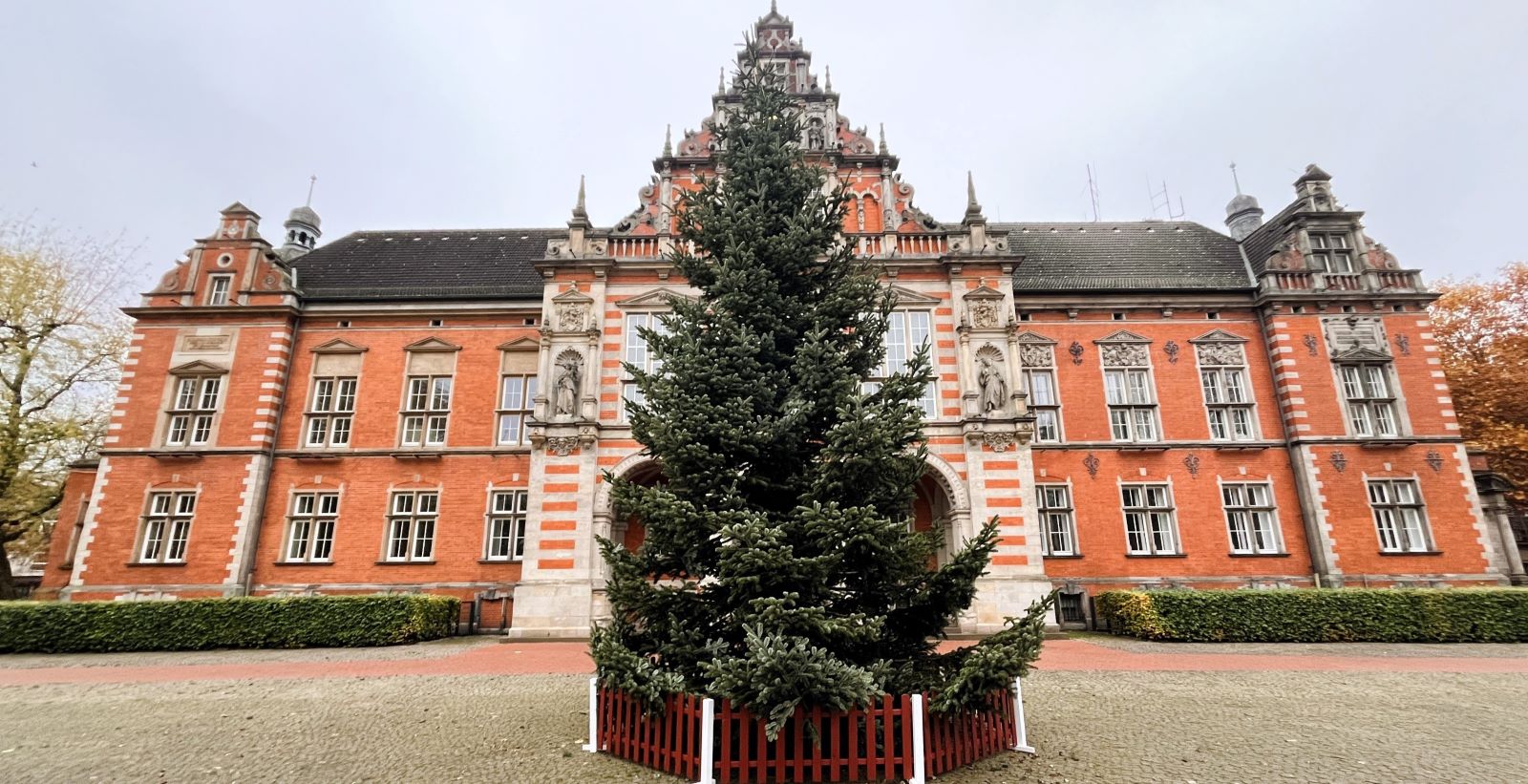 Harburgs Weihnachtstanne ist da: In wenigen Tagen beginnt der Weihnachtsmarkt