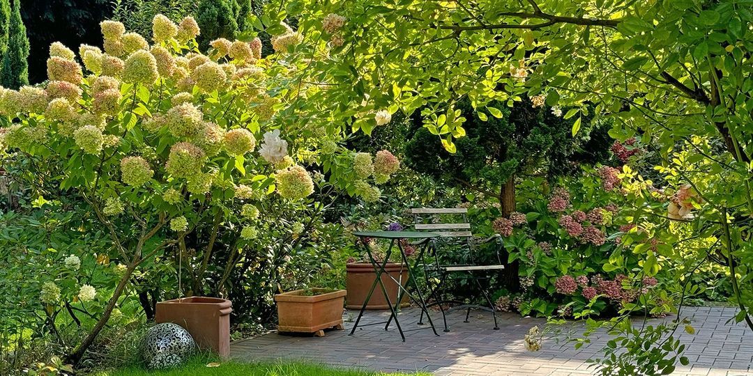 Nachhaltigkeit im Garten: So gestalten Sie Ihre grüne Oase umweltfreundlich