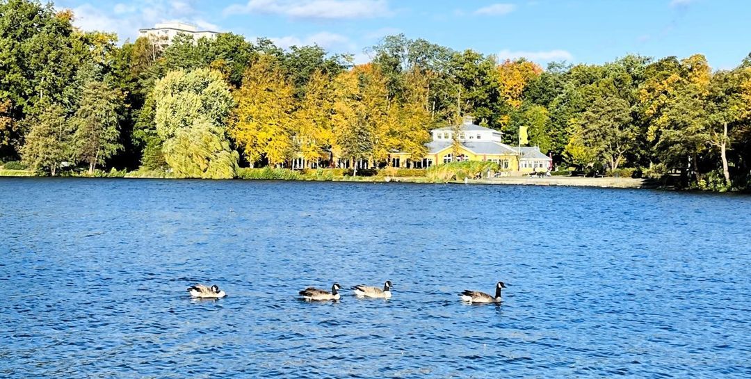 Harburger Stadtpark: Sexueller Übergriff auf 13-Jährige – Polizei sucht Zeugen