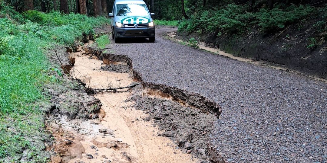 Vorsicht im Wald: Starkregen verursacht Erosionsschäden im Rosengarten