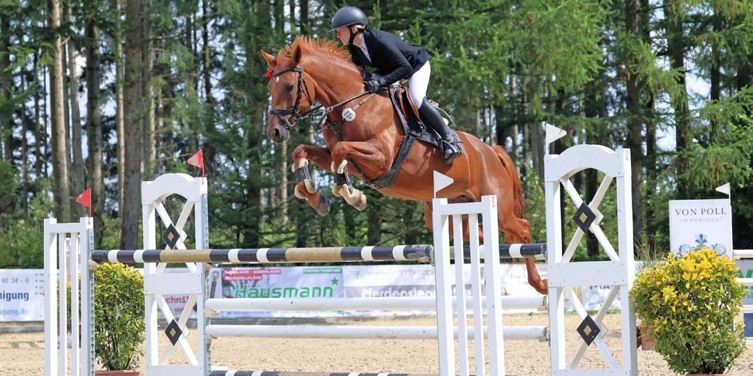 Reitsport vom Feinsten: Springturnier in Sieversen mit Regionalmeisterschaften