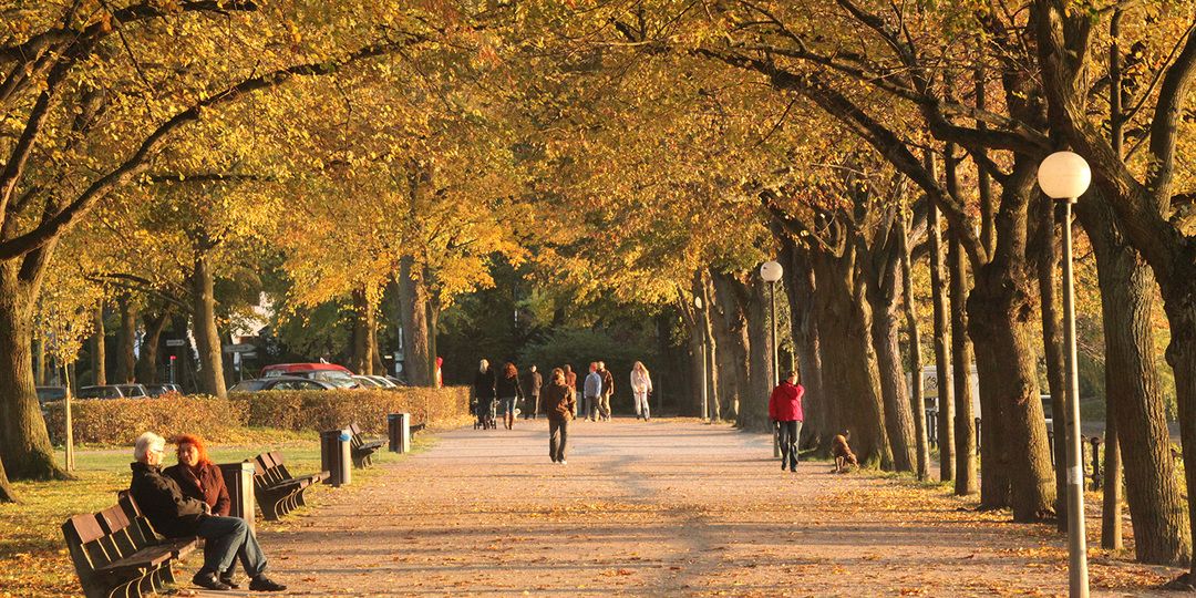 Herbstmode-Tipps für Männer: So gelingt der perfekte Look