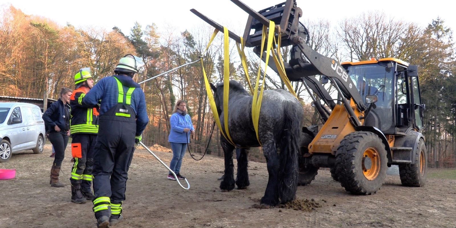 Pferd „Akiba“ in Not: Großtierrettung der Feuerwehren in Helmstorf 