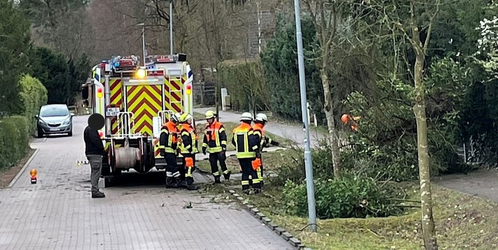 Mehrere umgestürzte Bäume: Sturmböen sorgen für viel Arbeit für die Feuerwehr