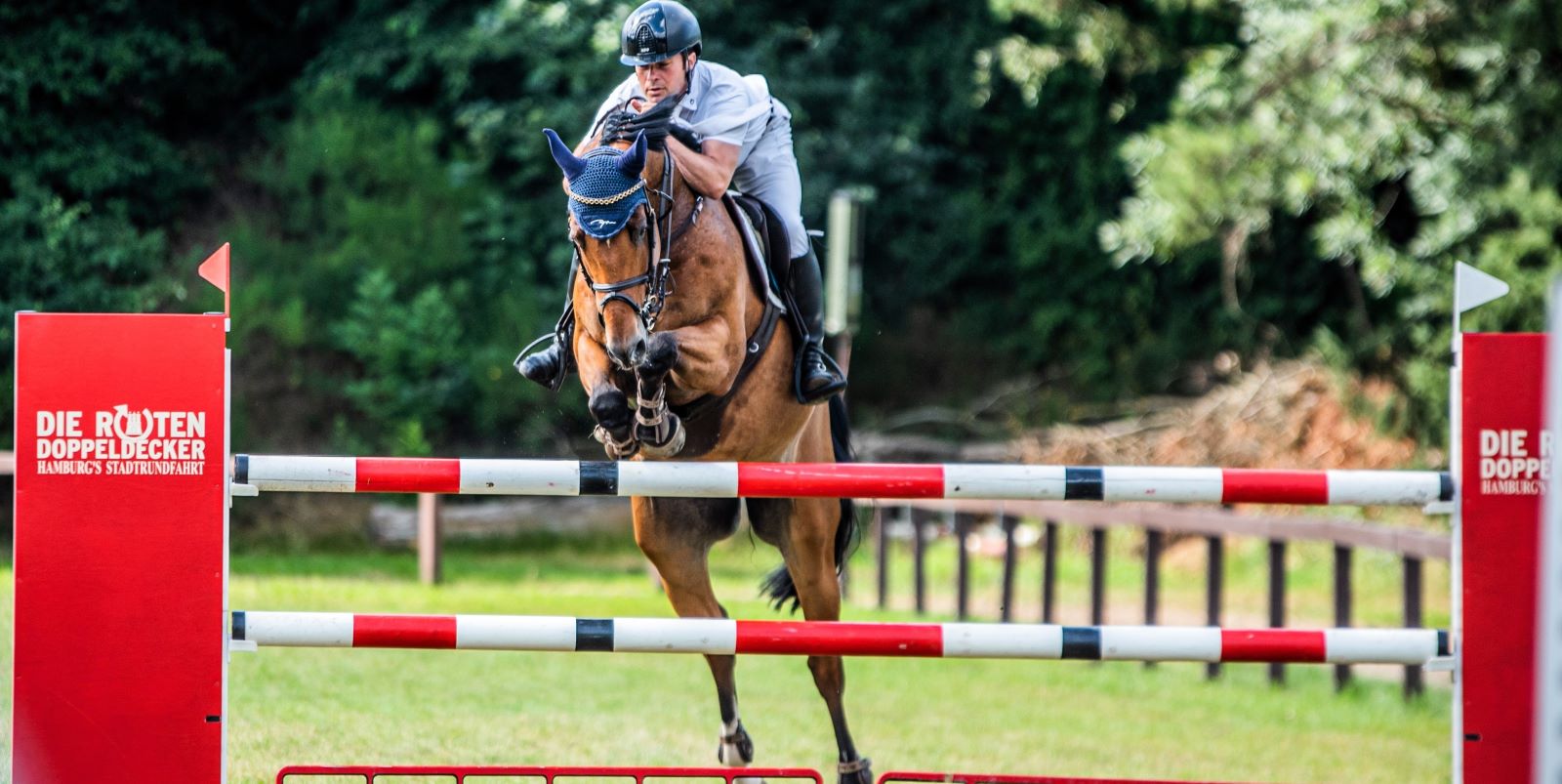 Beim Sommerturnier des Harburger Reitvereins vom 17. bis 19. Juli 2026 werden insgesamt 31 Dressur- und Springprüfungen ausgetragen. Foto: HRV