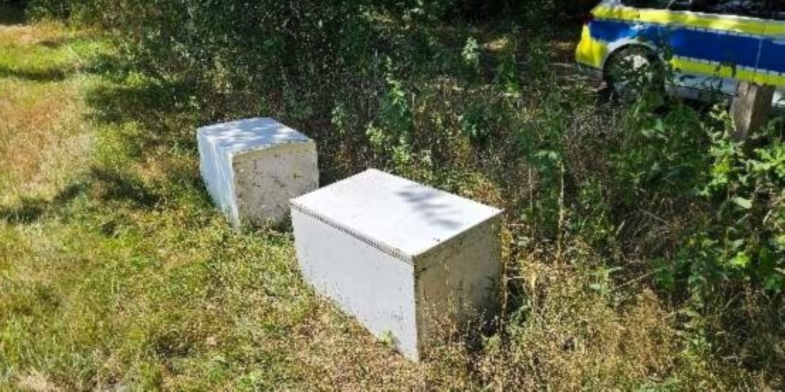 Die Kühlschränke wurden am Rande einer Weide entsorgt. Foto: Polizei