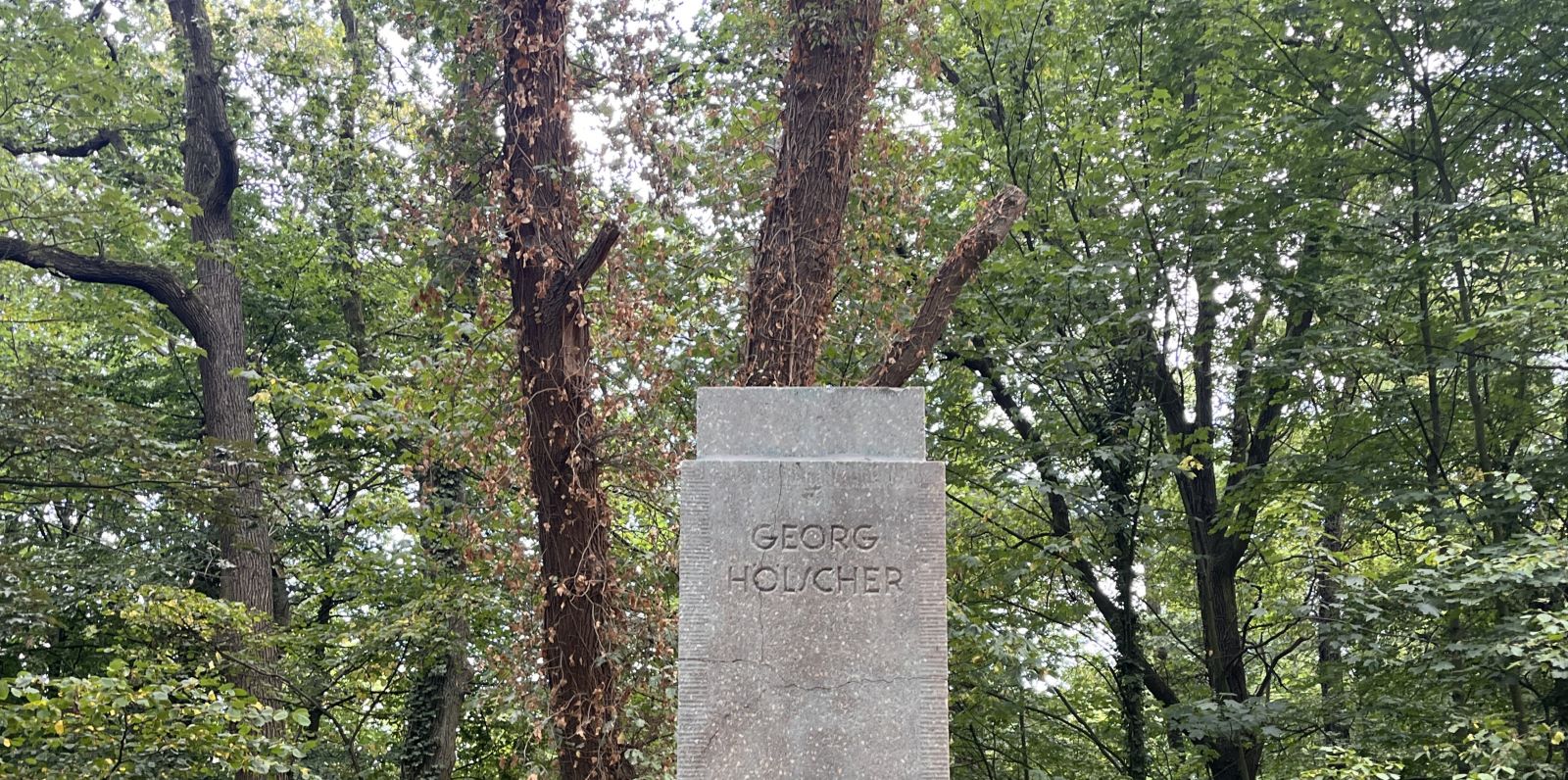 Ausgerechnet im Jubiläums-Jahr des Harburger Stadtparks ist die Büste von Georg Hölscher (1866 bis 1932) verschwunden. Foto: Christian Bittcher