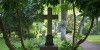 Bestattungsunternehmen aus Harburg rät: Daran im Trauerfall denken