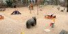 Erneuerung Spielplatz Kiefernberg: Alte Skulpturen bleiben erhalten