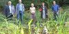 NAJU-Garten: Stiftung für Stifter unterstützt Biotop in der Mitte Harburgs