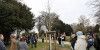 Zeremonie auf dem Alten Friedhof: Corona-Gedenkbaum eingeweiht